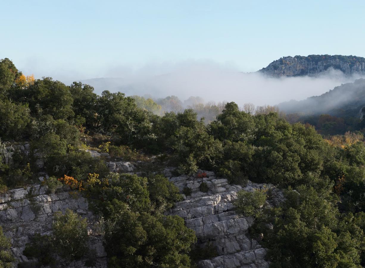 Les Hauts D'Issensac Causse-de-la-Selle Dış mekan fotoğraf