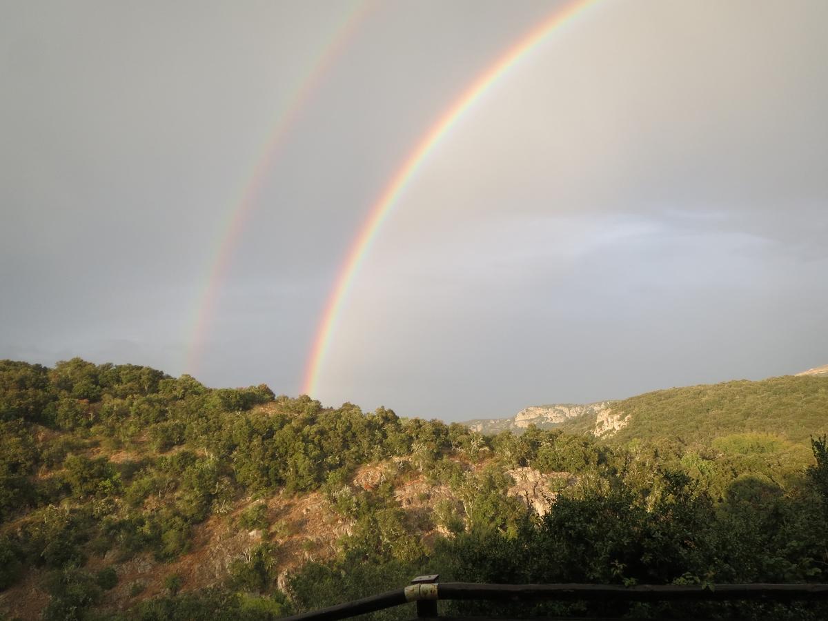 Les Hauts D'Issensac Causse-de-la-Selle Dış mekan fotoğraf