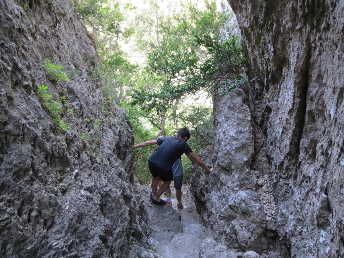 Les Hauts D'Issensac Causse-de-la-Selle Dış mekan fotoğraf