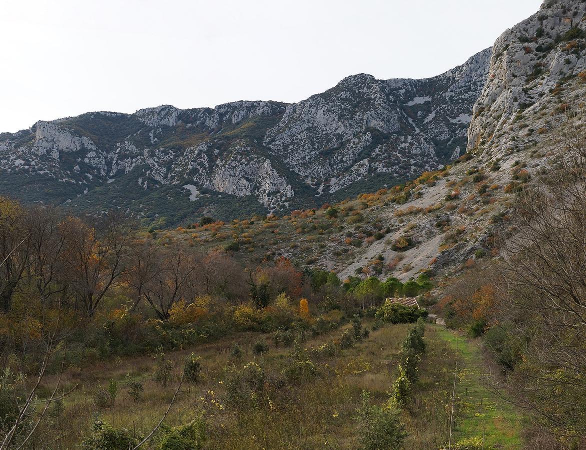 Les Hauts D'Issensac Causse-de-la-Selle Dış mekan fotoğraf
